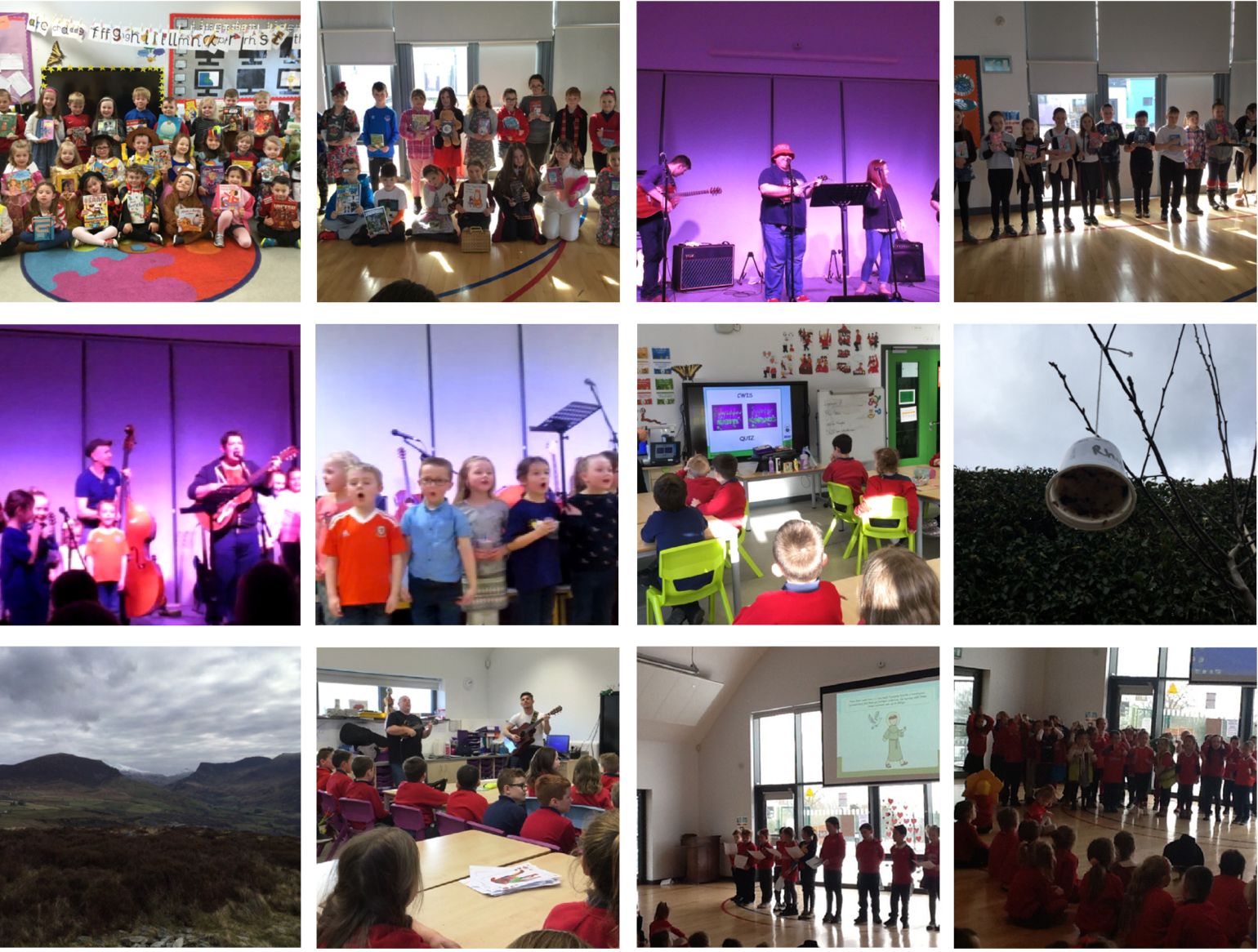 Lluniau Gwanwyn 2018