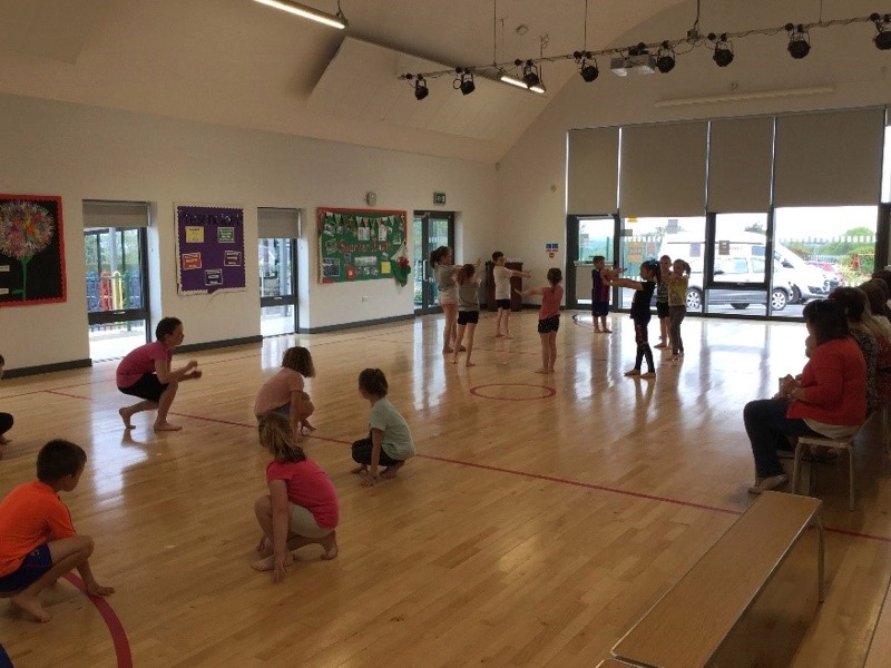 Lluniau Gwanwyn 2018